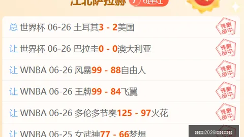 巴拿马界外球争议解析：裁判5秒读秒规则详解