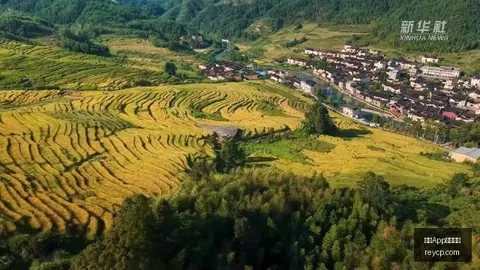 共振开云App下载官网：控制芬兰故事会的指南